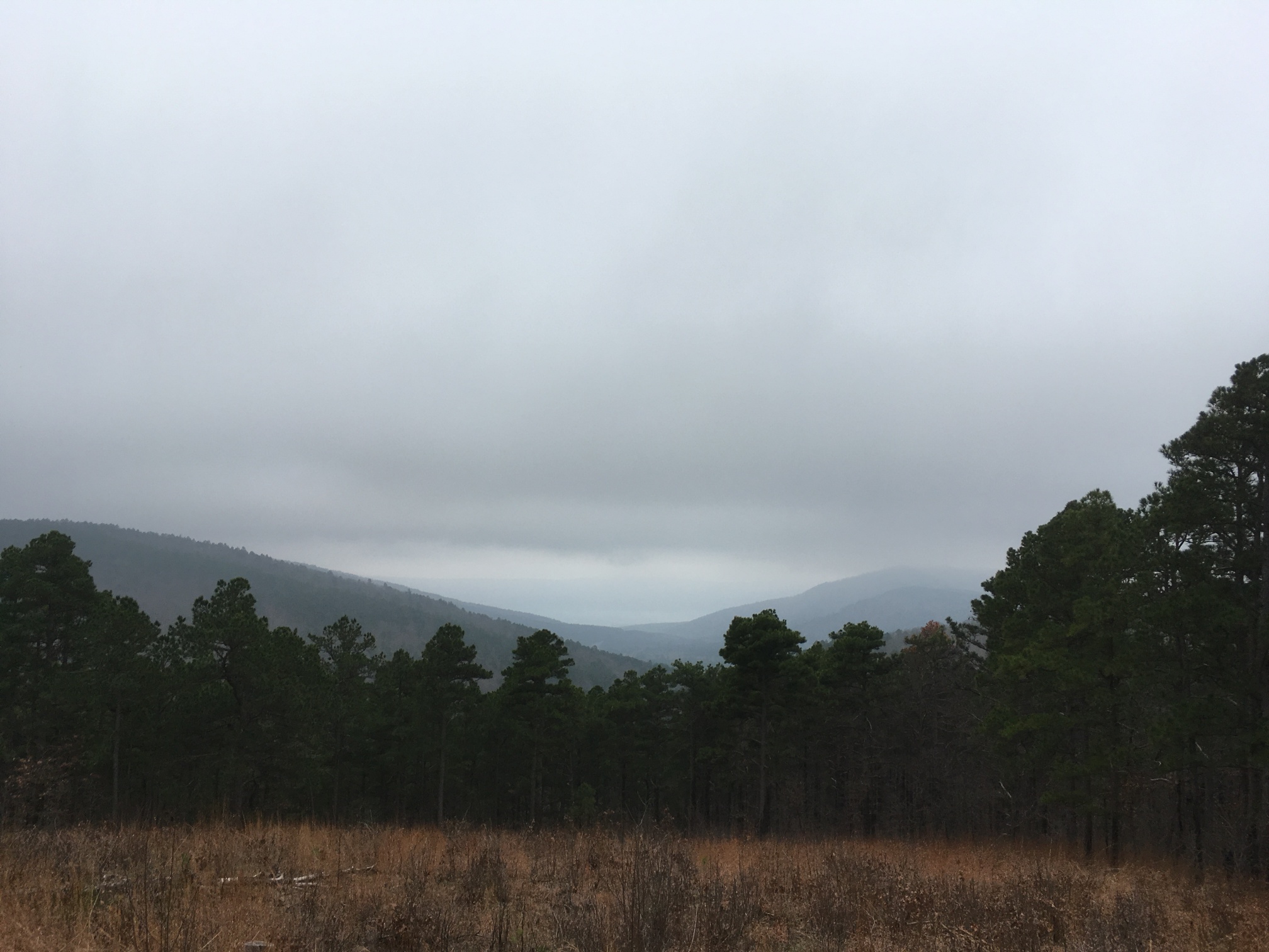 Clouds on the Talimena scenic highway