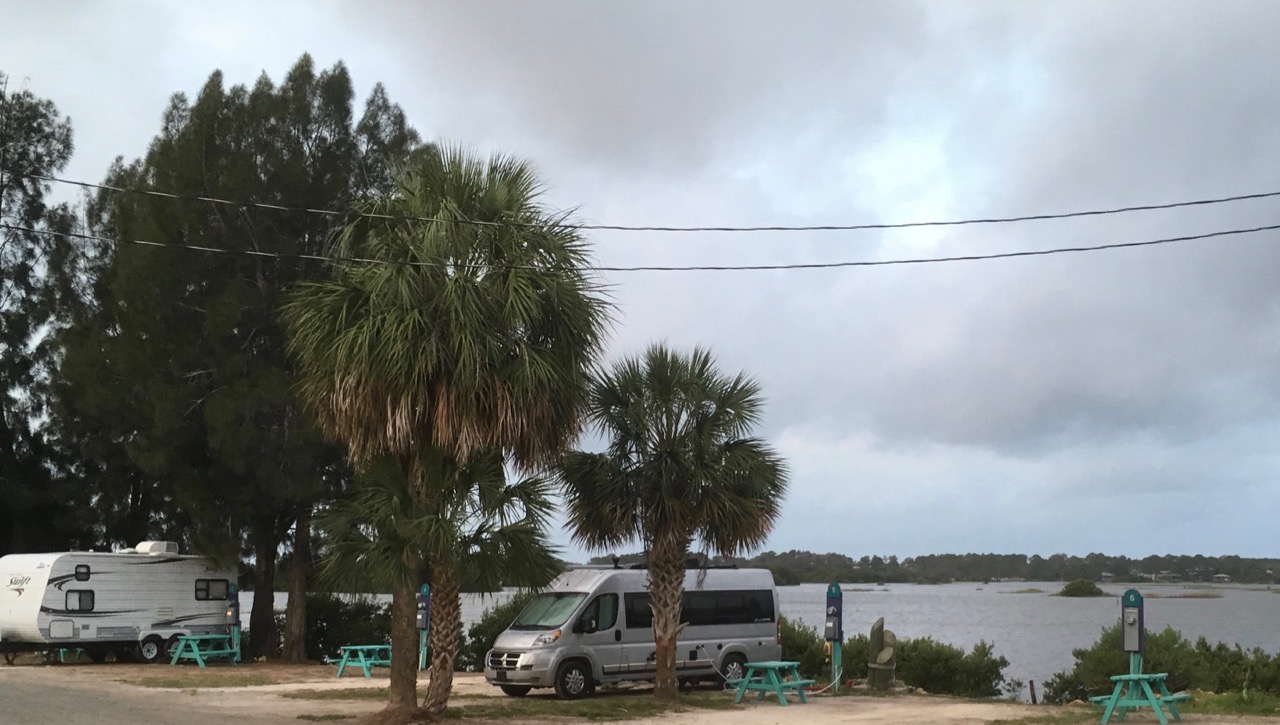 picture of a camper under a palm tree