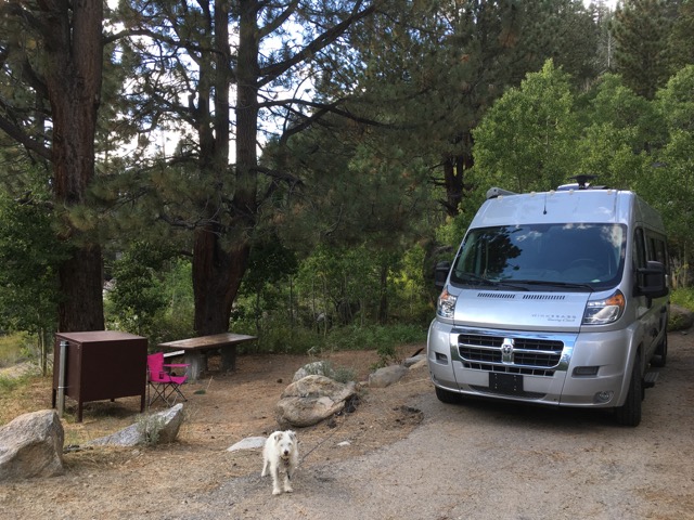 Zelda and Serenity at our campsite