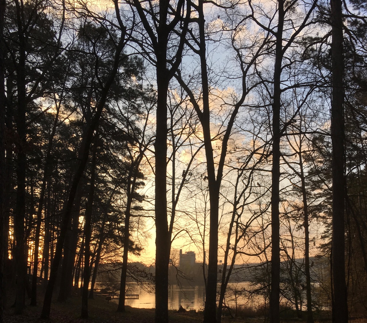 sunrise through the trees at Lake Catherine, Arkansas