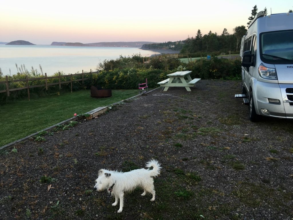 Cute dog in front of van with water in background