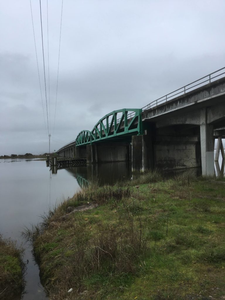 a rainy bridge 