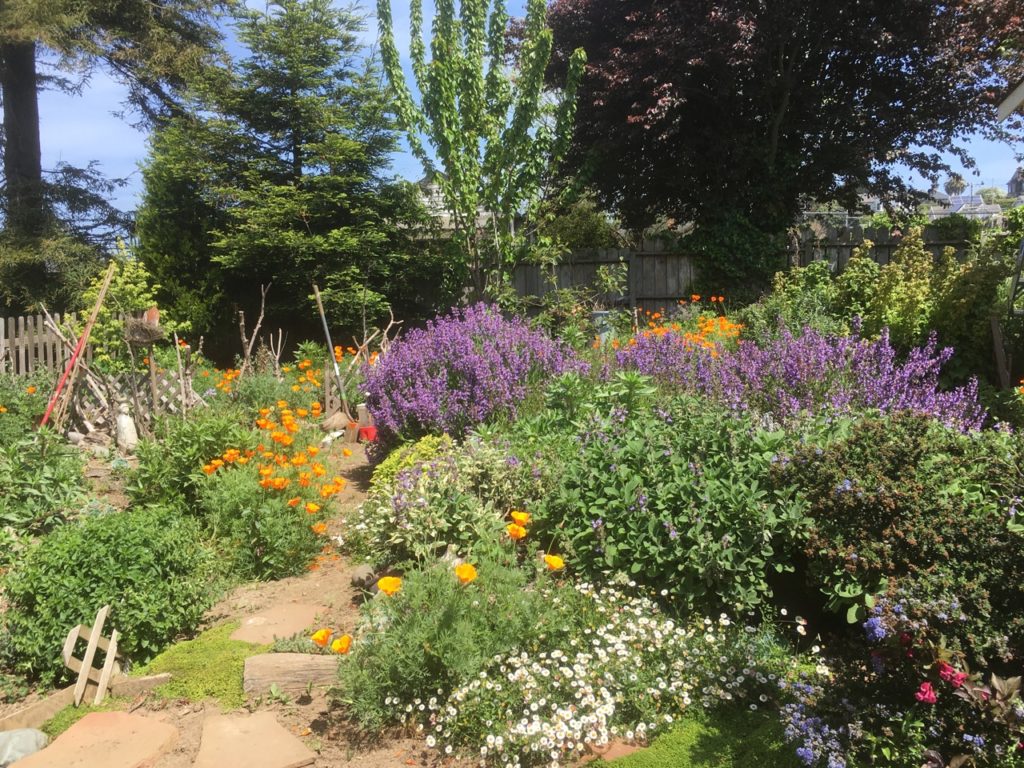 A spread of flowers, some purple, some orange, some white, some pink, with lots of green. 