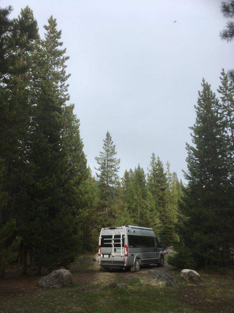 A camper van surrounded by tall trees. 