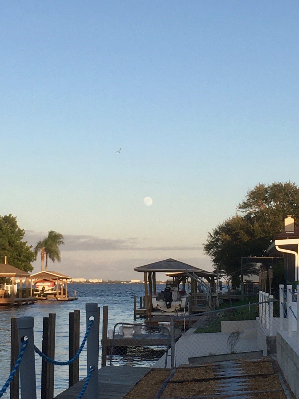 View of water off a dock and the moon rising, with a bird overhead. 