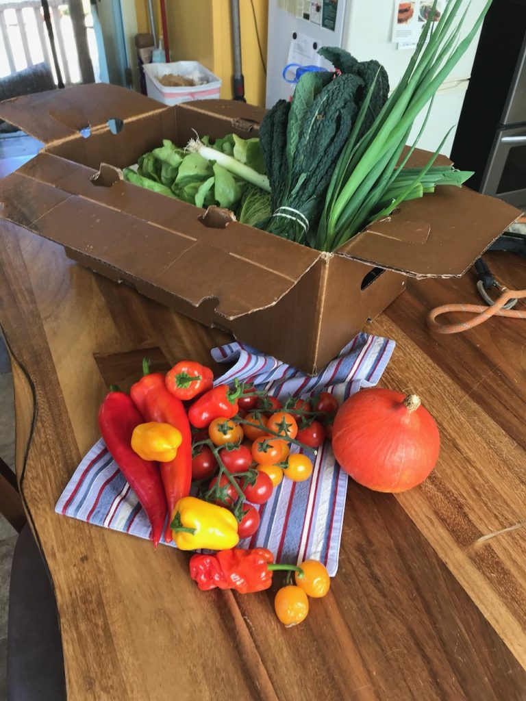 A box of colorful vegetables