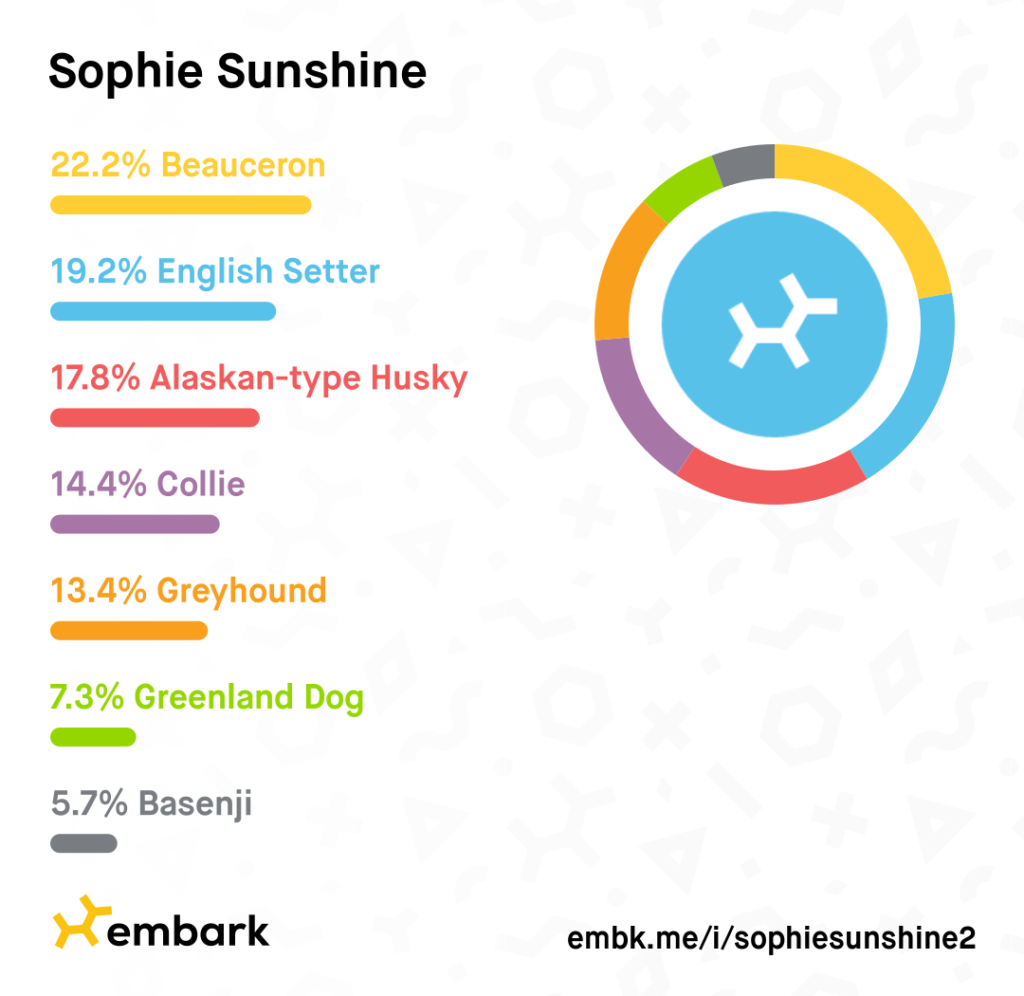 Incorrect Embark Results 