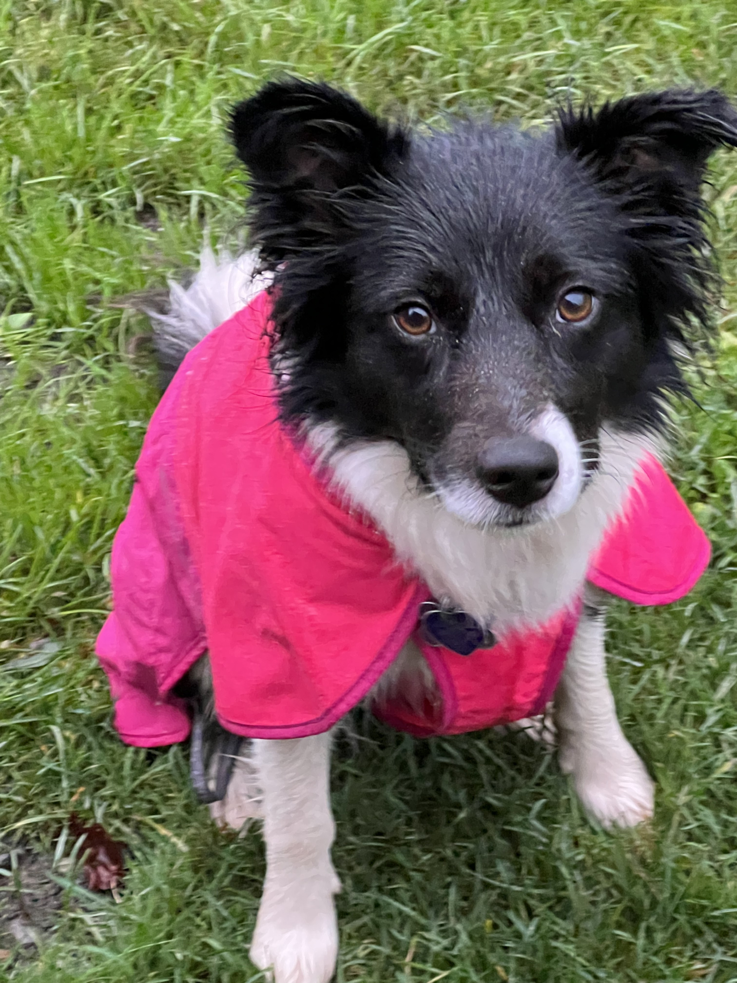Sophie wearing a raincoat