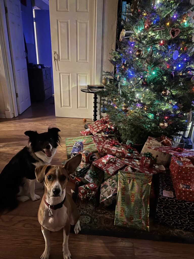 dogs before the Christmas tree, which is piled high with presents