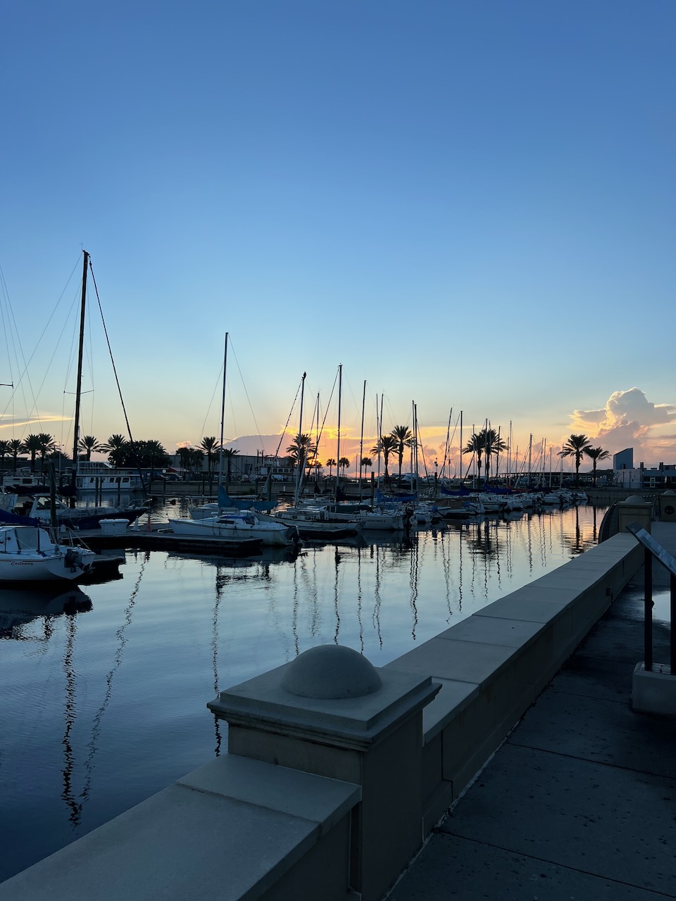 a marina with sailboats