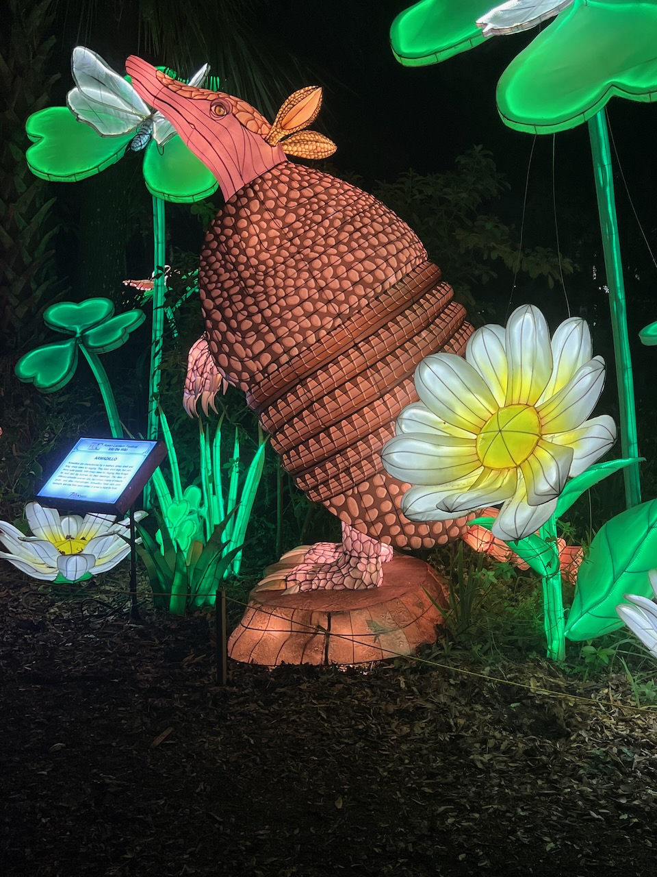 an armadillo Japanese lantern