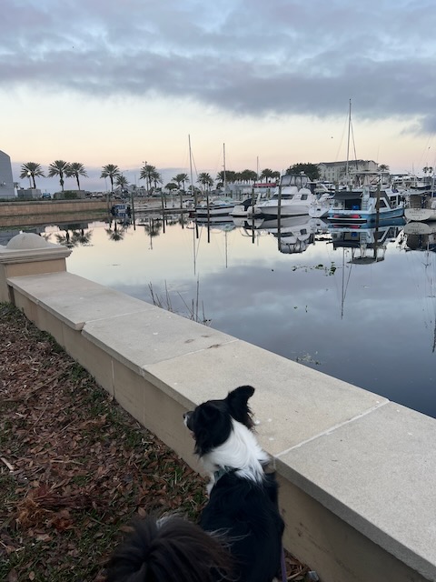 the waterfront of downtown Sanford